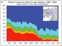 Percent sea ice by age category 1985-2023